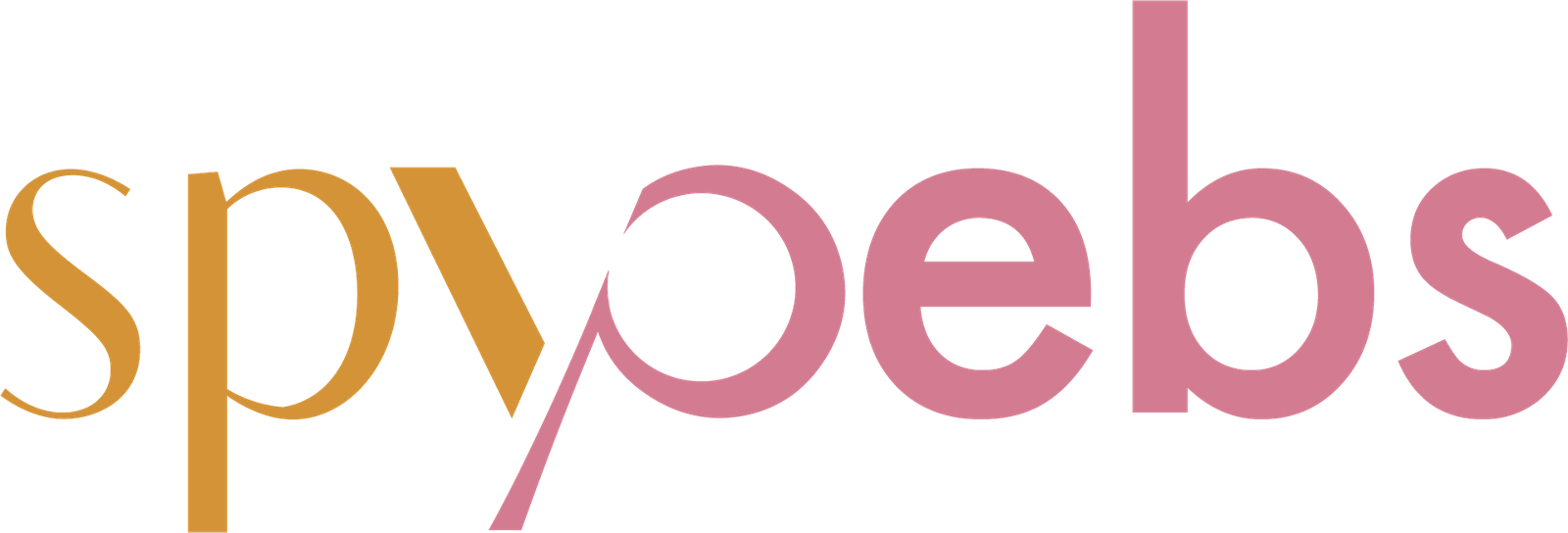 SpyWebs Domain Market Logo